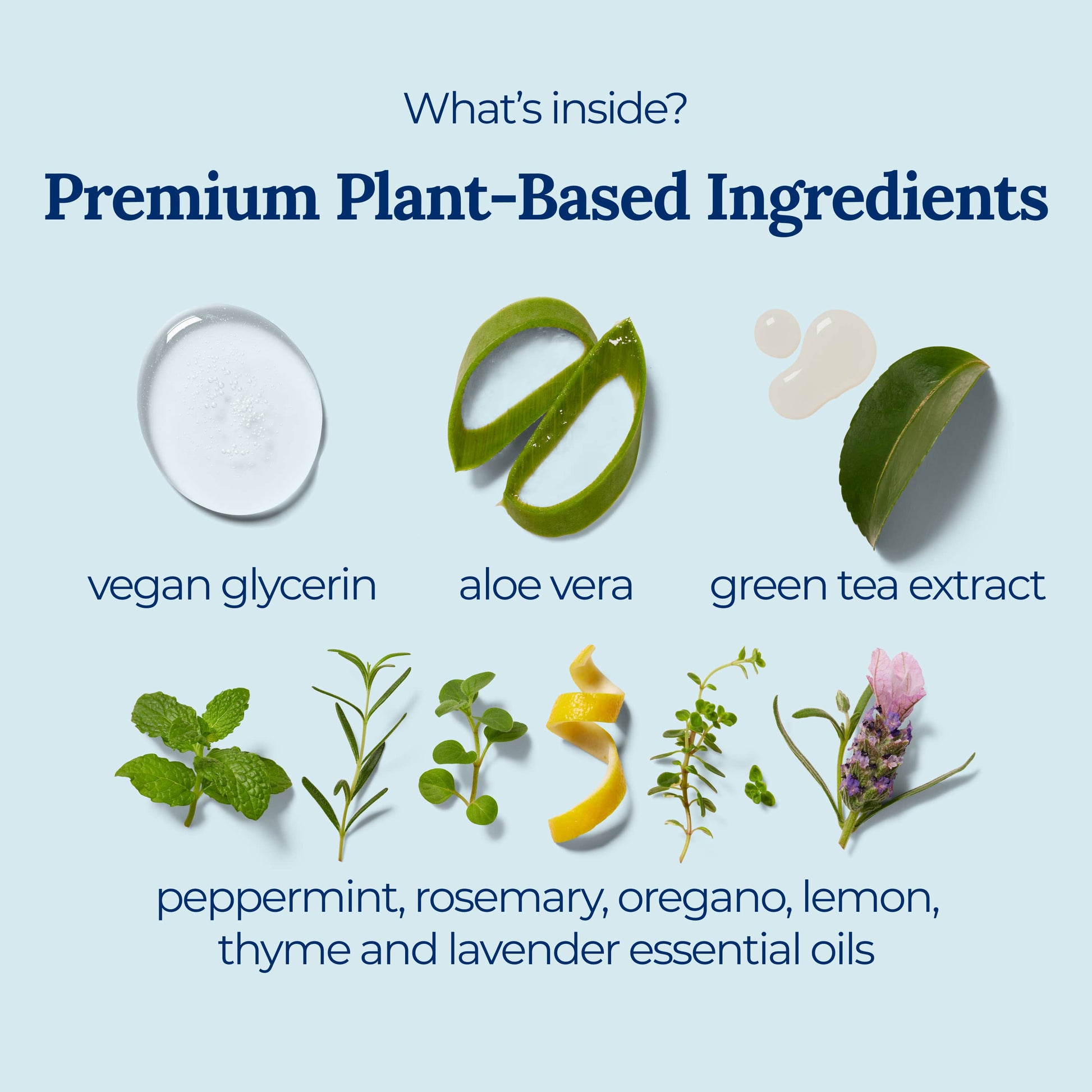 can you bring aloe vera plant on a plane Signature Herbal Hand Sanitizer Spray – Botanical & TSA-Friendly